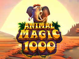 Animal Magic 1000