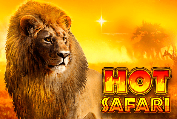 Hot Safari