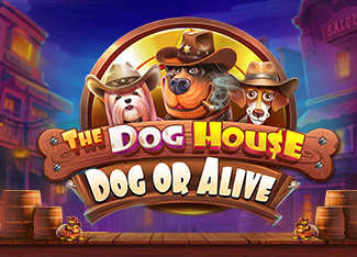The Dog House Dog Or Alive
