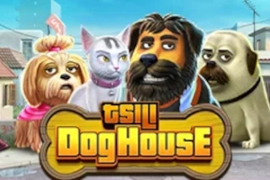 Tsili Dog House